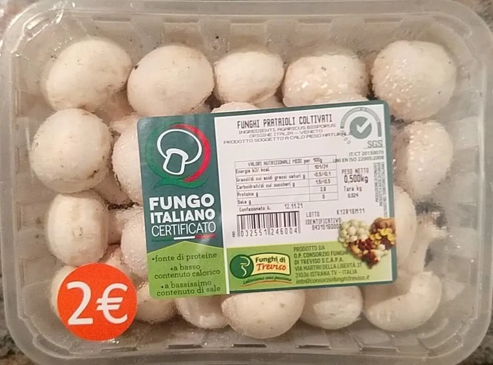 Funghi Prataioli Coltivati