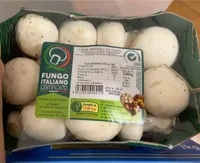 Funghi prataioli coltivati
