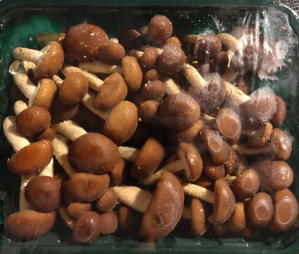 Funghi