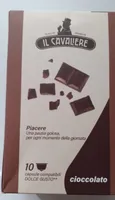 Il cavaliere