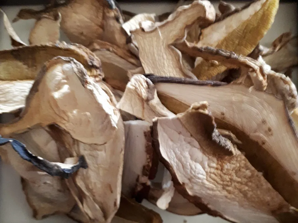 Funghi porcini secchi
