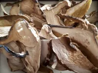 Funghi porcini secchi