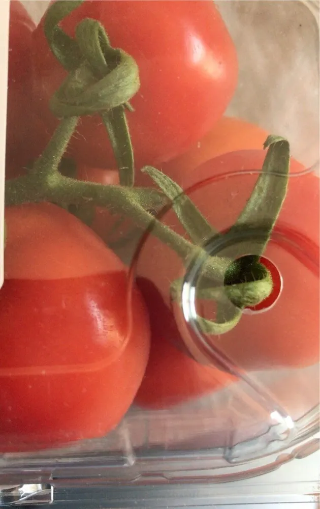 Pomodori mini plum
