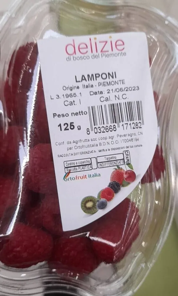Lamponi