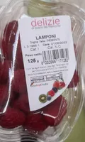 Lamponi