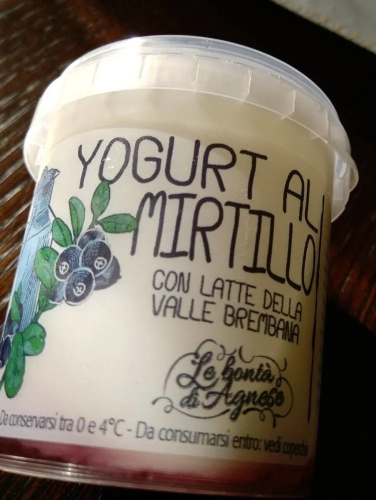 Yogurt mirtillo