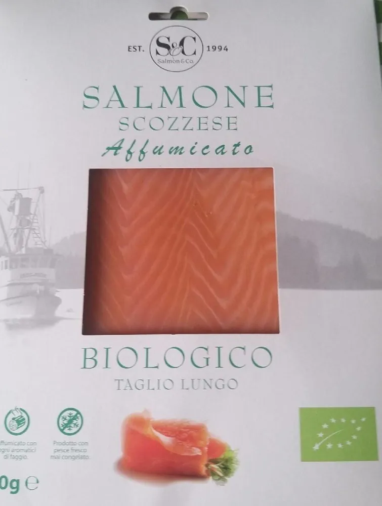 Salmone scozzese