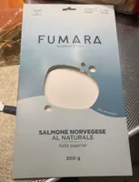 Salmone Norvegese al naturale