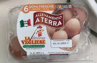 Uova fresche