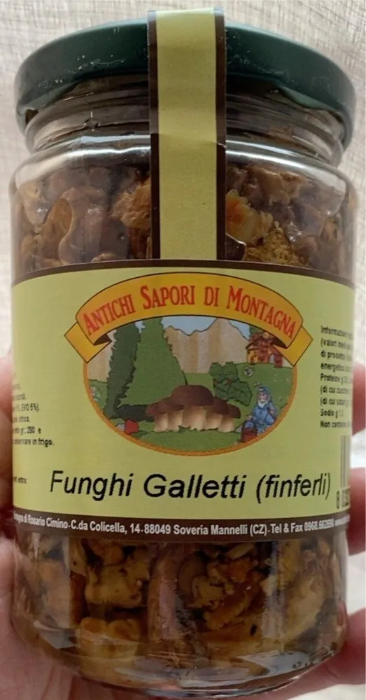 Funghi Galletti (finferli)