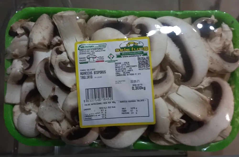 Funghi Champignon
