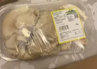 Pleurotus ostreatus