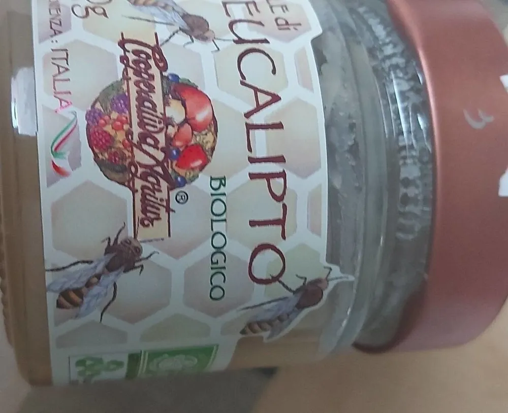 Miele di eucalipto