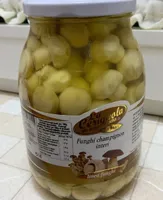 Funghi champignon