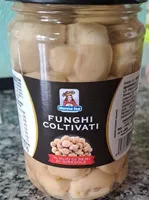 Funghi coltivati