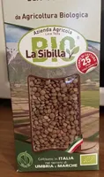 Lenticchia