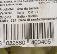 Uva da tavola