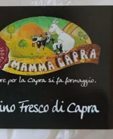Caprino fresco di capra