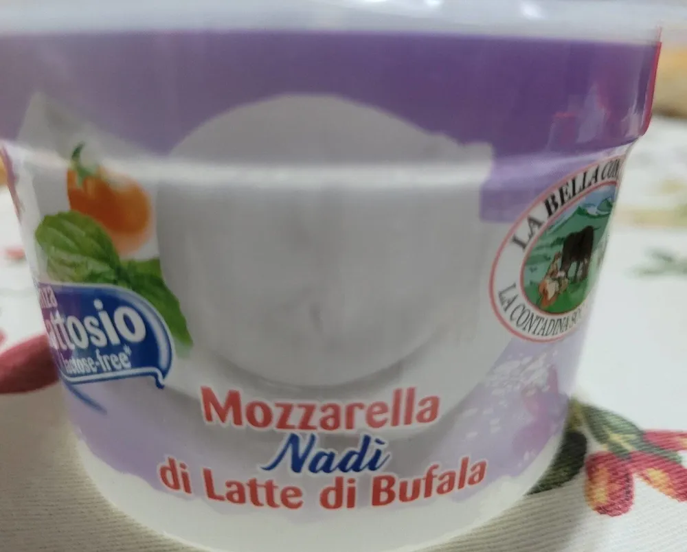 Mozzarella di latte di bufala