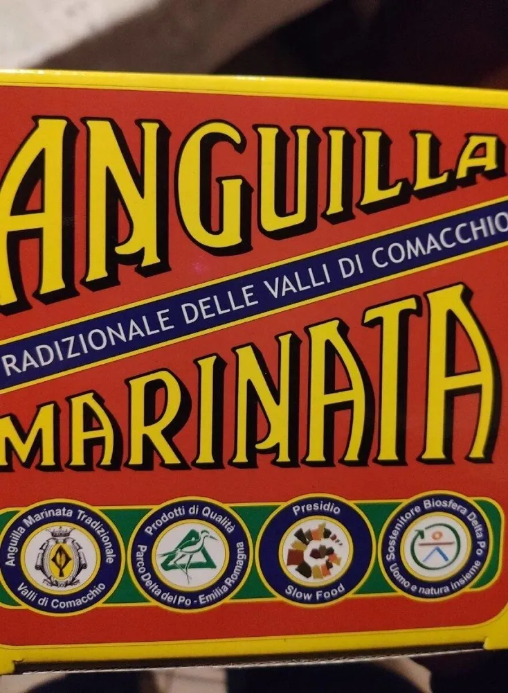 Anguilla marinata