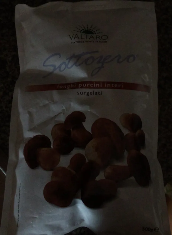 Sottozero Funghi porcini