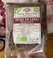 Semi di lino biologico