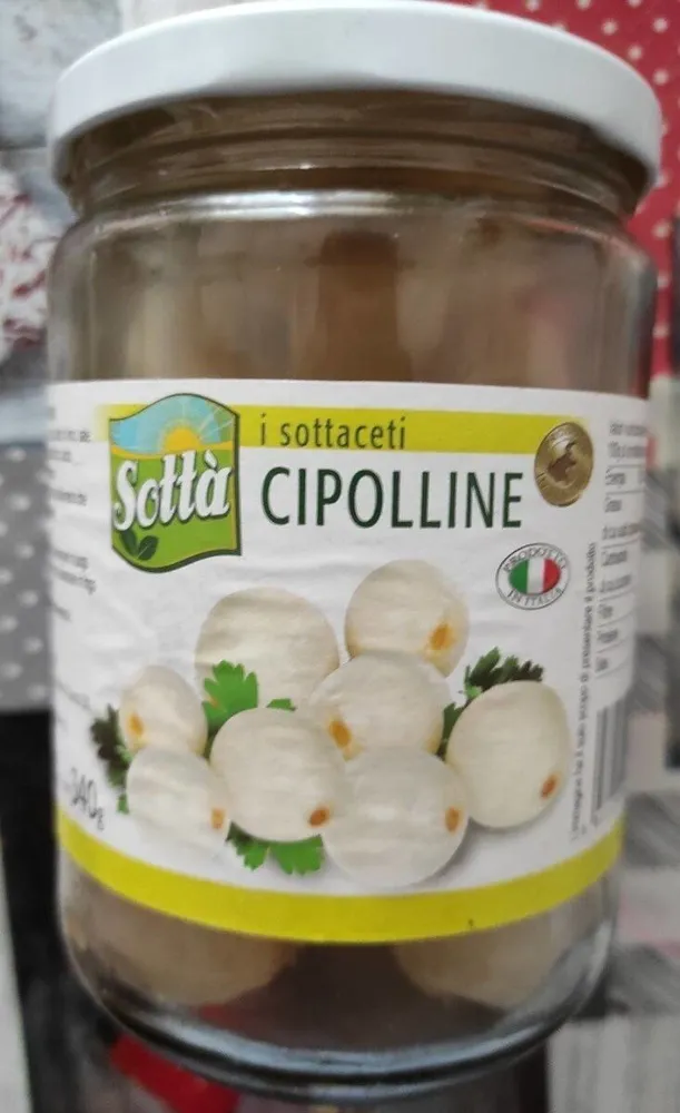 CIPOLLINE