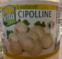 Cipolline