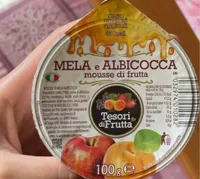 Mousse di frutta