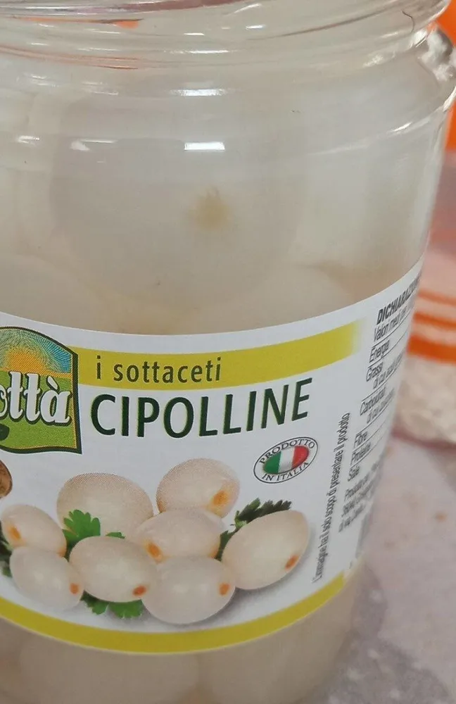 Cipolline
