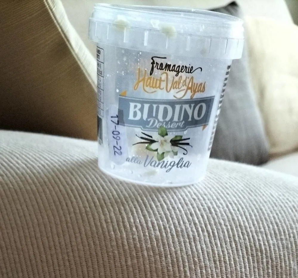 Budino dessert