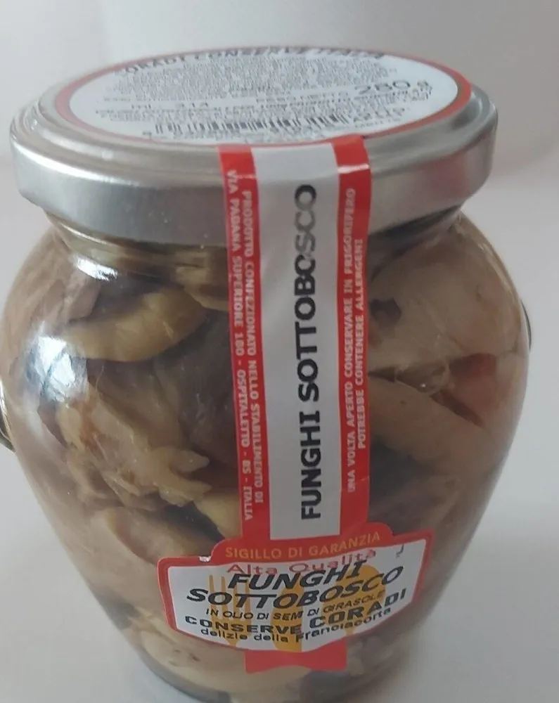 Funghi sottobosco