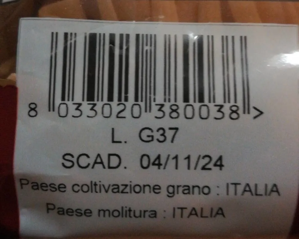 Pasta
