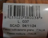 Pasta