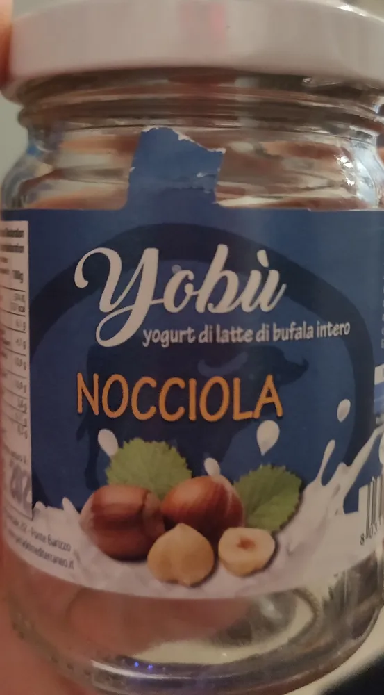 yogurt intero alla nocciola