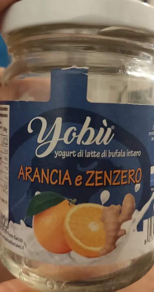 yogurt arancia e zenzero