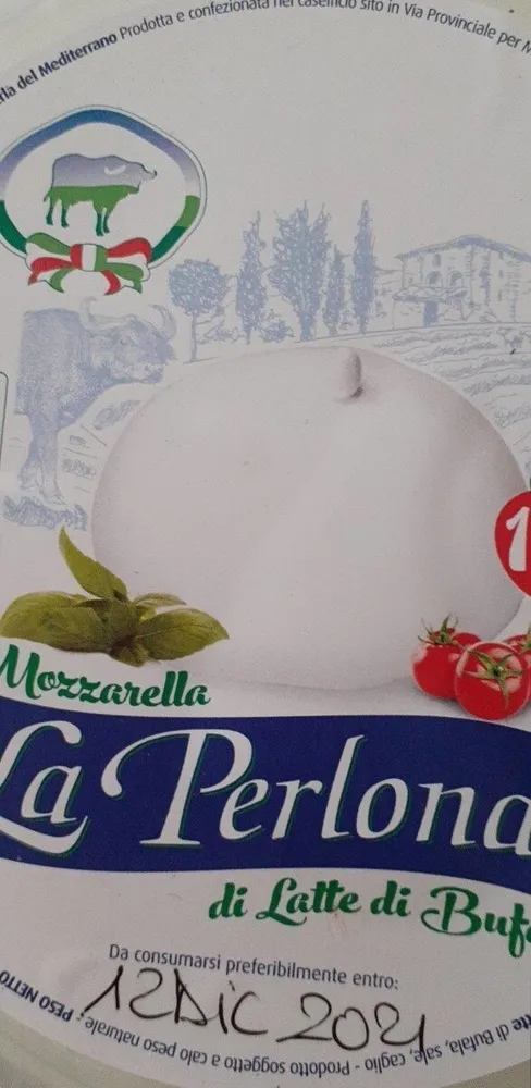 Mozzarella di bufala