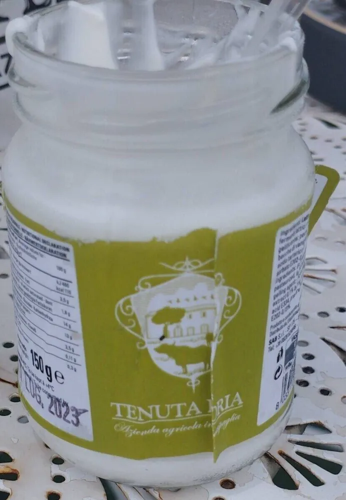 Yogurt alla vaniglia