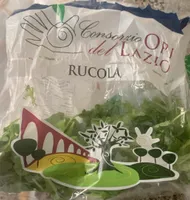 Rucola