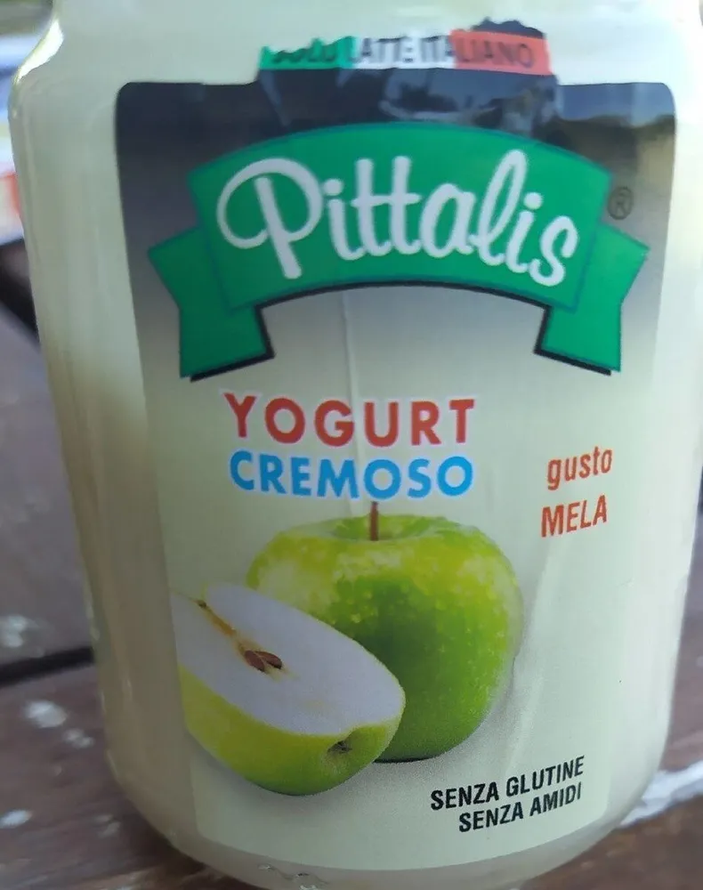 yogurt mela
