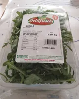 Rucola