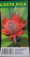 Ananas Costa Rica