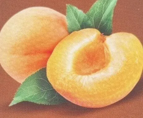 Albicocche secche