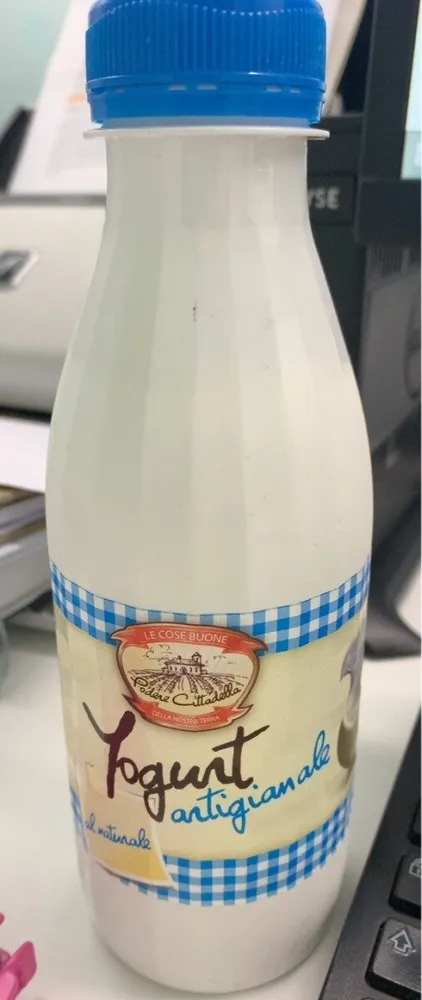 Yogurt artigianale