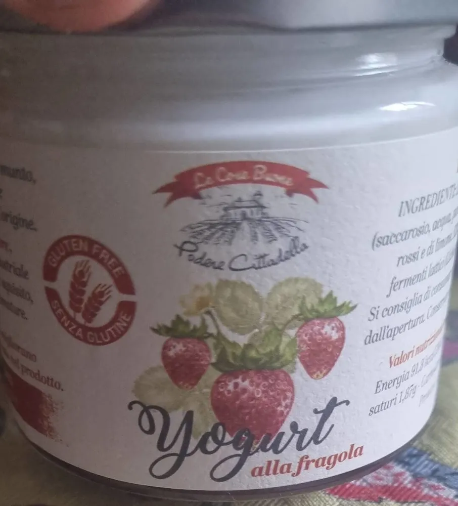 Yogurt
