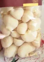 Pasta Lumaconi