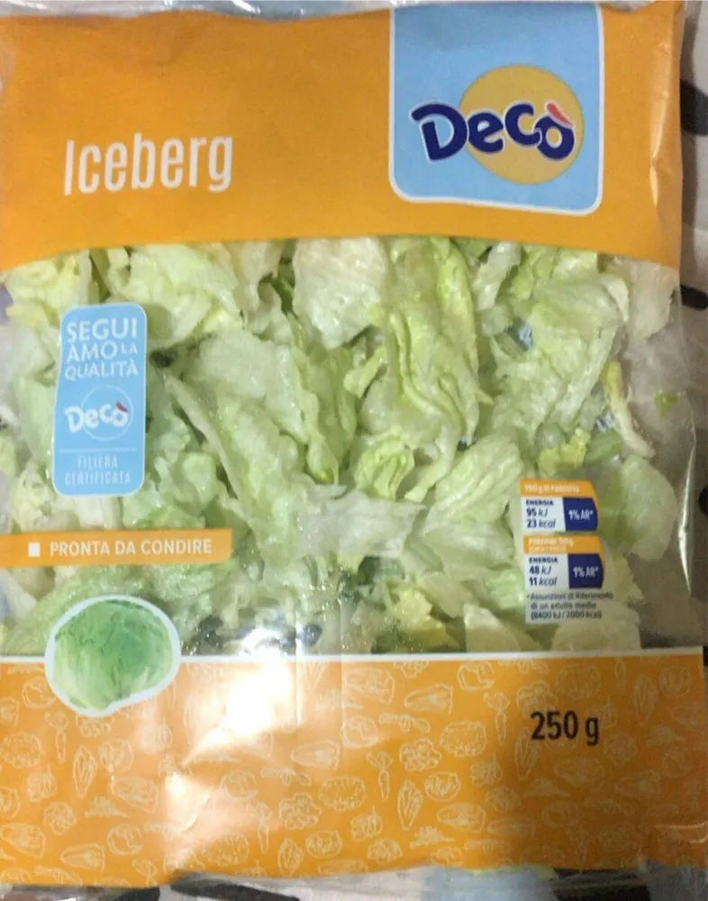 Iceberg