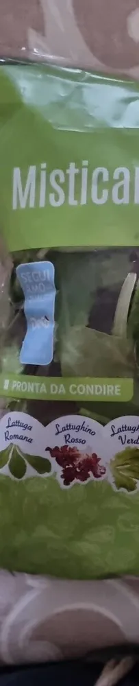 Misticanza