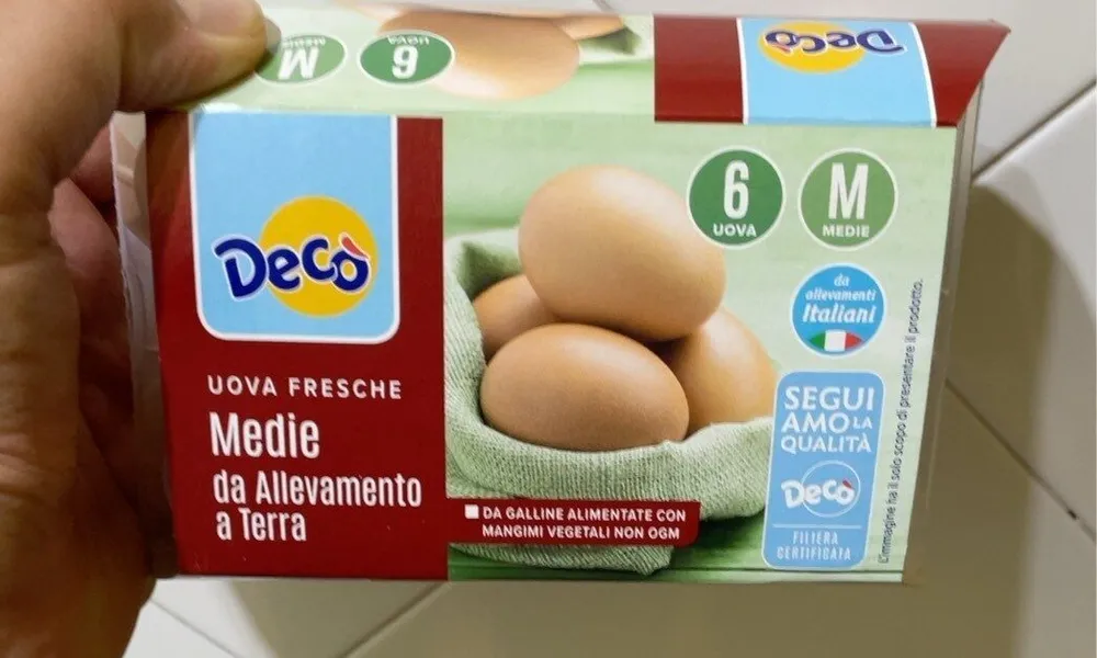Uova fresche Medie