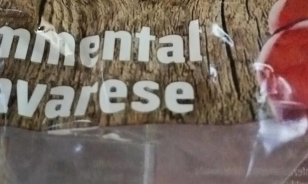 Emmental bavarese